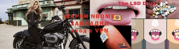 молекула духа Бородино