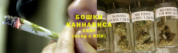 молекула духа Бородино